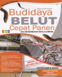 Budidaya belut: cepat panen