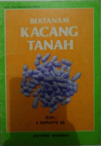 Bertanam kacang tanah