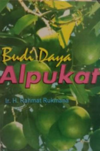 Budidaya alpukat