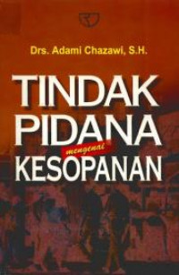 Tindak pidana mengenai kesopanan